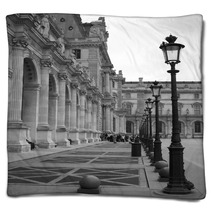 Cour Du Louvre Blankets 3111195
