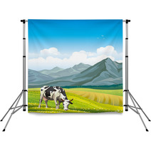 Cow And Green Meadow Backdrops 66630711