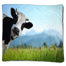 Cow Blankets 55774465