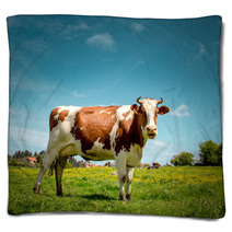 Cow Blankets 64674801
