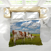 Cow Herd On Summer Field Bedding 72291626