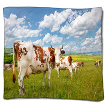Cow Herd On Summer Field Blankets 72291626