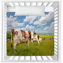 Cow Herd On Summer Field Nursery Decor 72291626