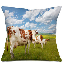 Cow Herd On Summer Field Pillows 72291626