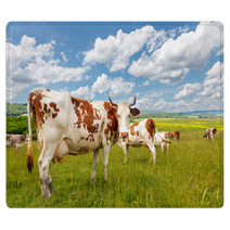 Cow Herd On Summer Field Rugs 72291626