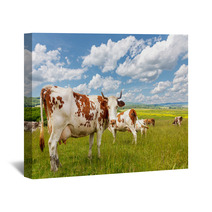 Cow Herd On Summer Field Wall Art 72291626