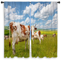 Cow Herd On Summer Field Window Curtains 72291626
