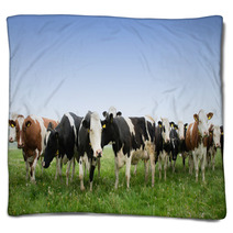 Cow In A Meadow Blankets 64495677