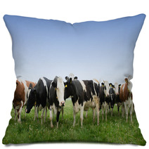 Cow In A Meadow Pillows 64495677