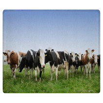 Cow In A Meadow Rugs 64495677