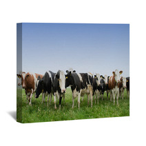 Cow In A Meadow Wall Art 64495677