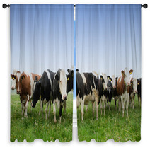 Cow In A Meadow Window Curtains 64495677