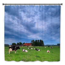 Cow On Pasture During Clouded Morning Bath Decor 66332419