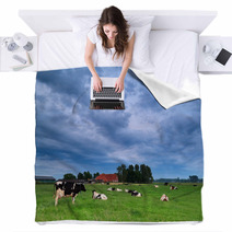 Cow On Pasture During Clouded Morning Blankets 66332419
