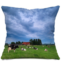 Cow On Pasture During Clouded Morning Pillows 66332419