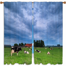 Cow On Pasture During Clouded Morning Window Curtains 66332419
