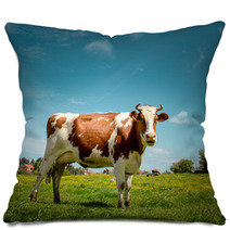 Cow Pillows 64674801