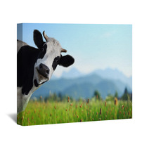 Cow Wall Art 55774465