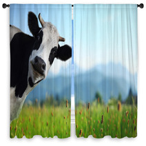 Cow Window Curtains 55774465
