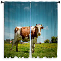 Cow Window Curtains 64674801