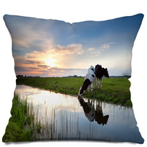 Cows Grazing At Sunset Pillows 54173062