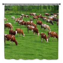 Cows Grazing On Pasture Bath Decor 66884645