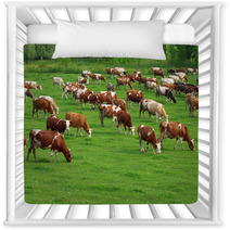 Cows Grazing On Pasture Nursery Decor 66884645