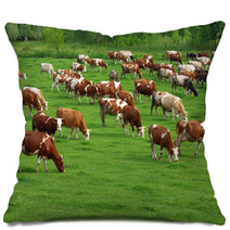 Cows Grazing On Pasture Pillows 66884645