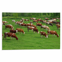 Cows Grazing On Pasture Rugs 66884645