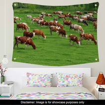 Cows Grazing On Pasture Wall Art 66884645