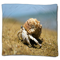  Crab Blankets 88768445