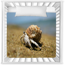  Crab Nursery Decor 88768445
