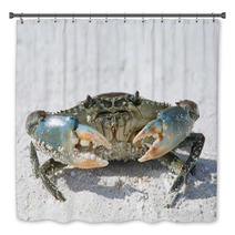 Crab On Beach Bath Decor 88862807