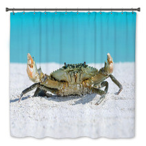 Crab On Beach Bath Decor 91097593
