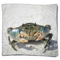 Crab On Beach Blankets 88862807
