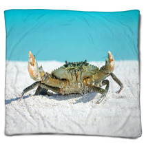 Crab On Beach Blankets 91097593