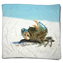 Crab On Beach Blankets 97632090