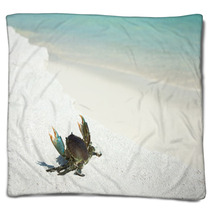 Crab On Beach Blankets 99241246