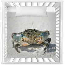 Crab On Beach Nursery Decor 88862807