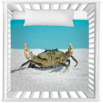 Crab On Beach Nursery Decor 91097593
