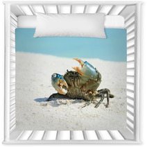 Crab On Beach Nursery Decor 97632090