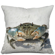 Crab On Beach Pillows 88862807