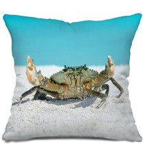 Crab On Beach Pillows 91097593