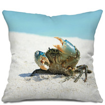Crab On Beach Pillows 97632090