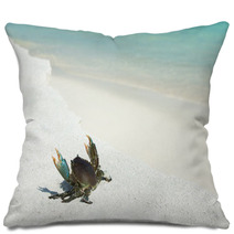 Crab On Beach Pillows 99241246