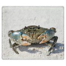 Crab On Beach Rugs 88862807