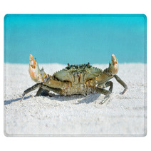 Crab On Beach Rugs 91097593