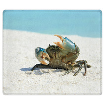 Crab On Beach Rugs 97632090