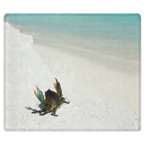 Crab On Beach Rugs 99241246