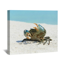 Crab On Beach Wall Art 97632090